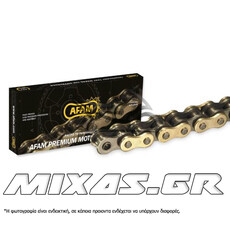 ΑΛΥΣΙΔΑ ΚΙΝΗΣΗΣ AFAM 520-118L MX4-G MOTOCROSS 3