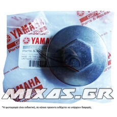 ΤΑΠΑ ΒΑΛΒΙΔΩΝ ΚΕΦΑΛΗΣ YAMAHA CRYPTON/105/115 ΓΝΗΣΙΑ