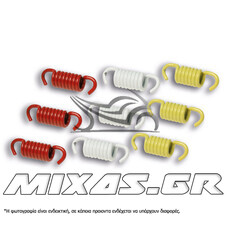 ΕΛΑΤΗΡΙΑ ΦΥΓΟΚΕΝΤΡΙΚΟΥ MALOSSI RACING MAXI SCOOTER BEVERLY-250/300 (2911326)