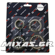 ΡΟΥΛΕΜΑΝ ΤΙΜΟΝΙΟΥ (ΠΟΤΗΡΙΑ) YAMAHA X-MAX 125/250 (010) RMS