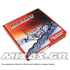 ΑΛΥΣΙΔΟΓΡΑΝΑΖΟ PRO-RACE KAWASAKI KAZER (NEW)/SUZUKI SHOGUN 110 (14-42) (428)