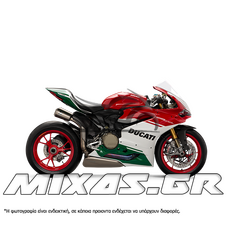 ΚΟΥΣΤΟΥΜΙ (FAIRING SET) DUCATI 1299 (2016) 21ΤΜΧ