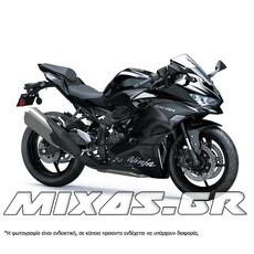 ΚΟΥΣΤΟΥΜΙ (FAIRING SET) KAWASAKI ZX-4RR (2023-2024) 19ΤΜΧ