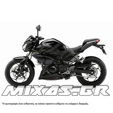 ΚΟΥΣΤΟΥΜΙ (FAIRING SET) KAWASAKI Z250 (2015-2016) 17ΤΜΧ