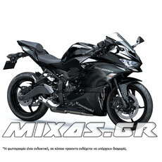 ΚΟΥΣΤΟΥΜΙ (FAIRING SET) KAWASAKI ZX-250R (2020) 20ΤΜΧ