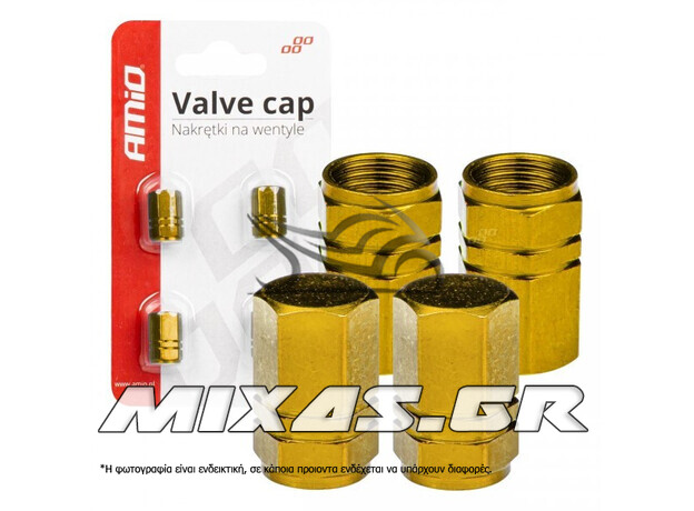 ΤΑΠΕΣ ΒΑΛΒΙΔΩΝ ΑΕΡΟΘΑΛΑΜΟΥ 02236 4ΤΜΧ ΧΡΥΣΕΣ AMIO