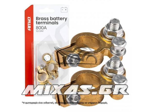 ΑΚΡΟΔΕΚΤΕΣ ΜΠΑΤΑΡΙΑΣ 12/800